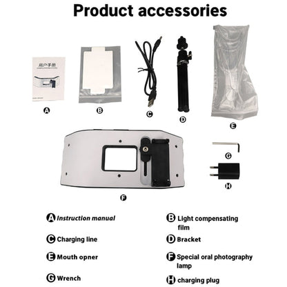 Dental Photography Light